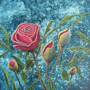 Rosor i knopp